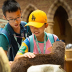 Tabara engleza si activitati 8-12 ani, Oxford, Anglia, IVI Romania 12