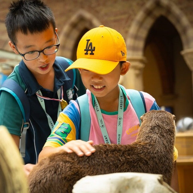 Tabara engleza si activitati 8-12 ani, Oxford, Anglia, IVI Romania 12