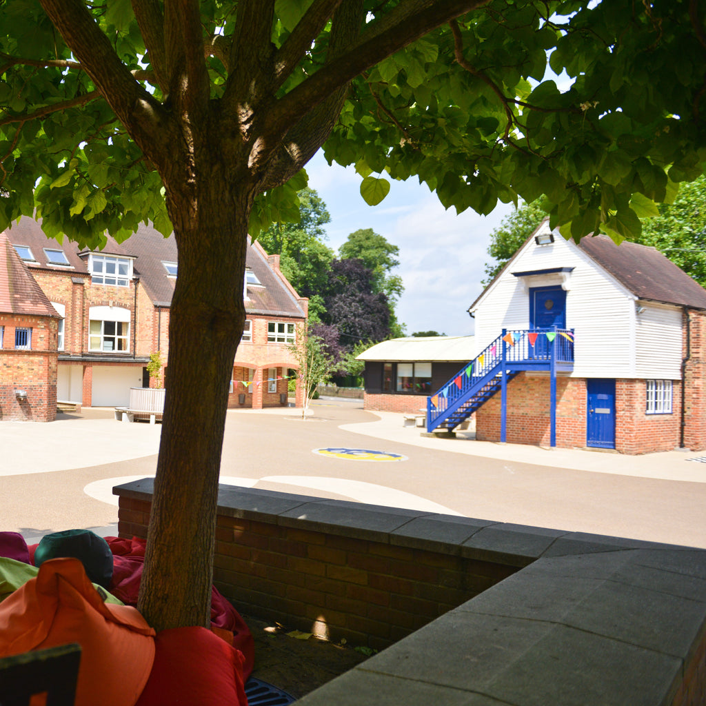 Tabara engleza si activitati 8-12 ani, Oxford, Anglia, IVI Romania 14