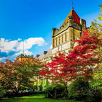 Tabara engleza si activitati 8-17 ani, Tonbridge School, Anglia - IVI Education 1