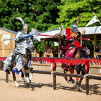 Tabara engleza si arte 7-18 ani, Box Hill School, Anglia - IVI Romania 16