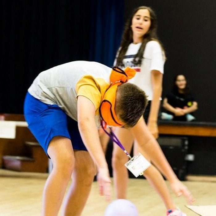 Tabara engleza si arte 7-18 ani, Malvern St James School, Anglia, IVI Romania 14