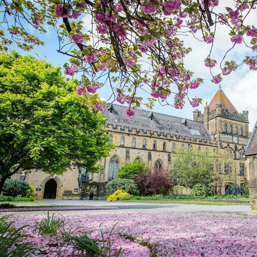 Tabara engleza si artele spectacolului 8-17 ani, Tonbridge School, Anglia - IVI Romania 11
