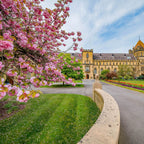 Tabara engleza si artele spectacolului 8-17 ani, Tonbridge School, Anglia - IVI Romania 14