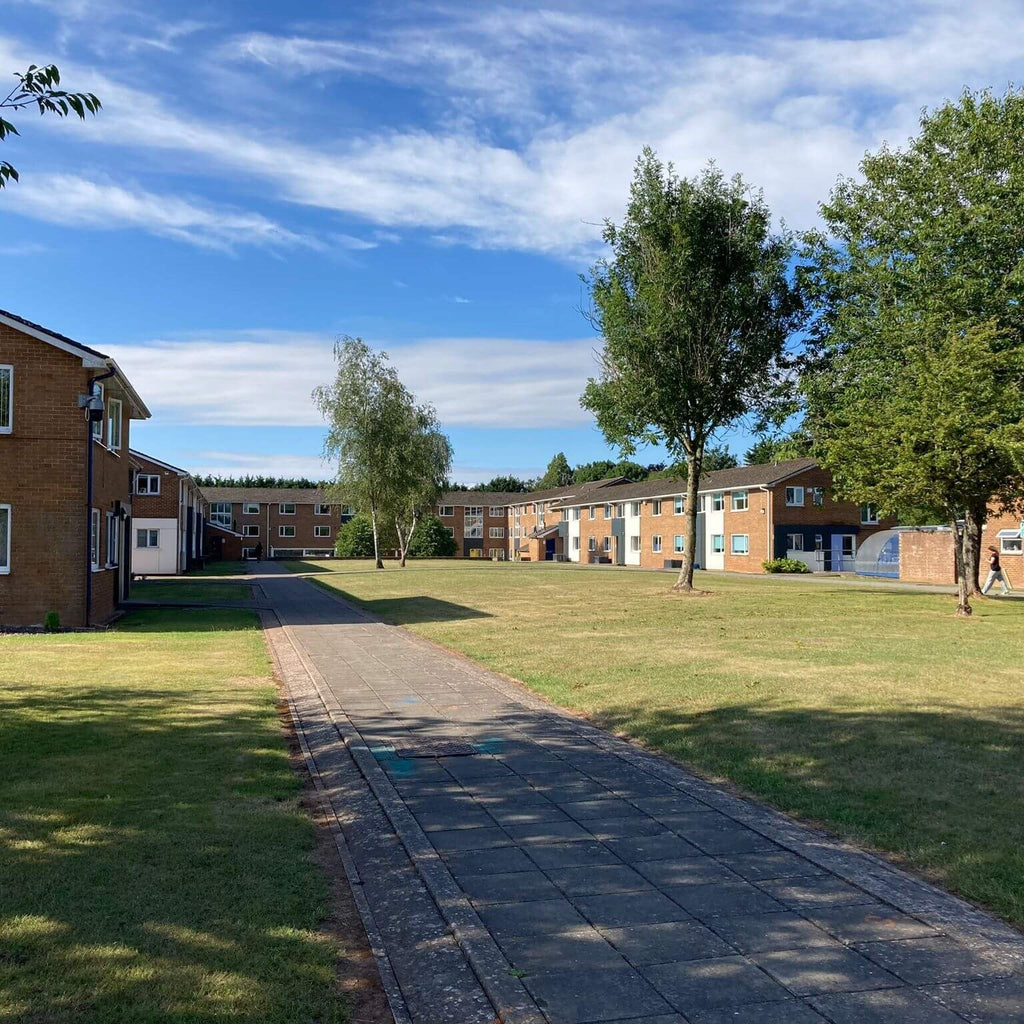 Tabara Engleza si Baschet (8 - 17 ani) - Cardiff - Tara Galilor