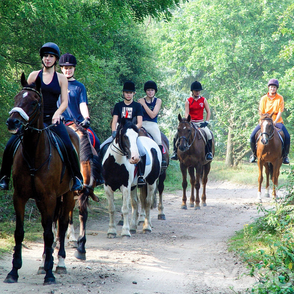 Tabara Engleza si Echitatie (10 - 17 ani) - Oundle School - Anglia