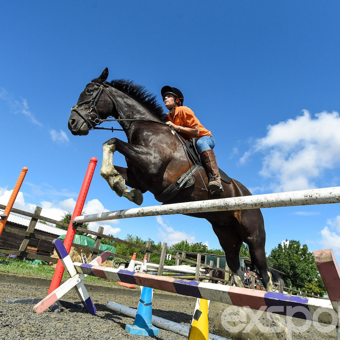 Tabara Engleza si Echitatie (10 - 17 ani) - Oundle School - Anglia