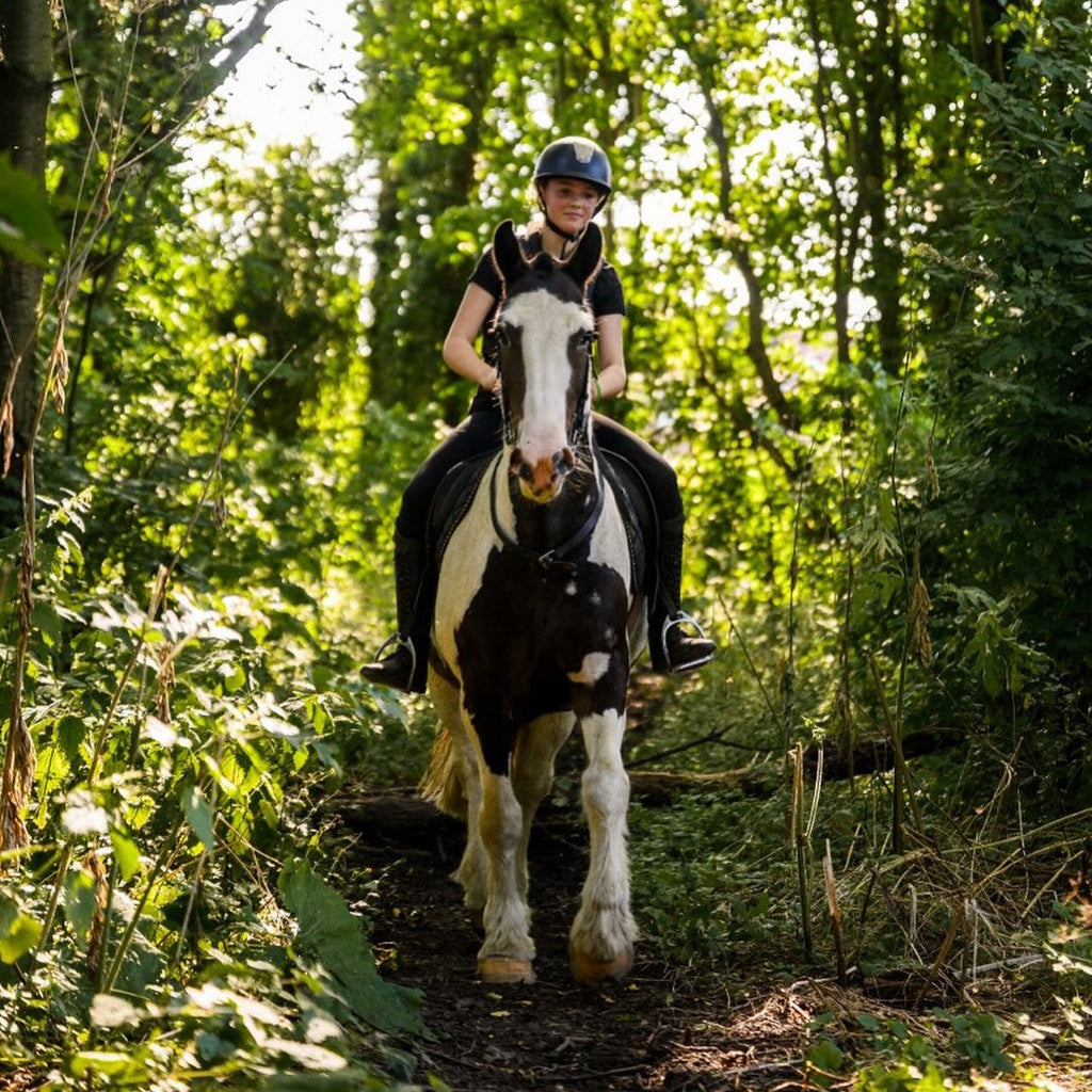 Tabara Engleza si Echitatie (7 - 18 ani) - Bromsgrove School - Anglia