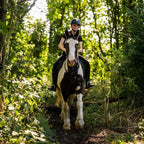 Tabara Engleza si Echitatie (7 - 18 ani) - Bromsgrove School - Anglia