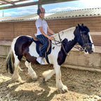 Tabara Engleza si Echitatie (7 - 18 ani) - Bromsgrove School - Anglia