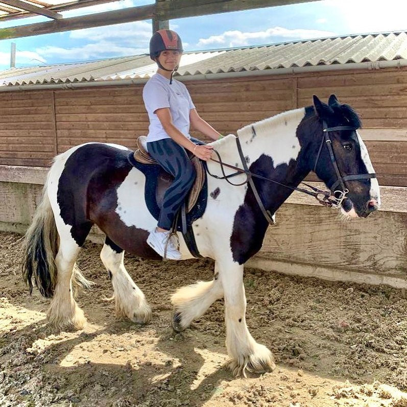 Tabara Engleza si Echitatie (7 - 18 ani) - Bromsgrove School - Anglia