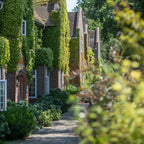 Tabara engleza si leadership 10-15 ani, All Hallows School, Anglia, IVI Romania 1