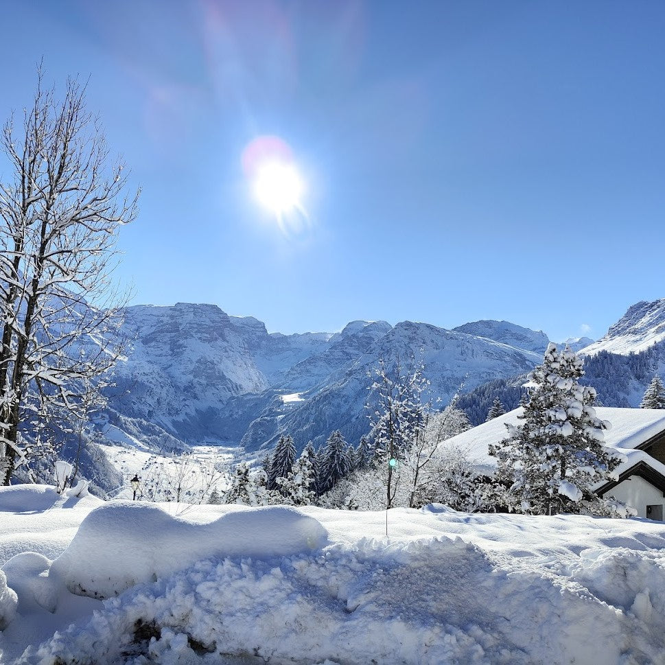 Tabara Engleza si Schi copii 8-17 ani in Elvetia, Braunwald 3