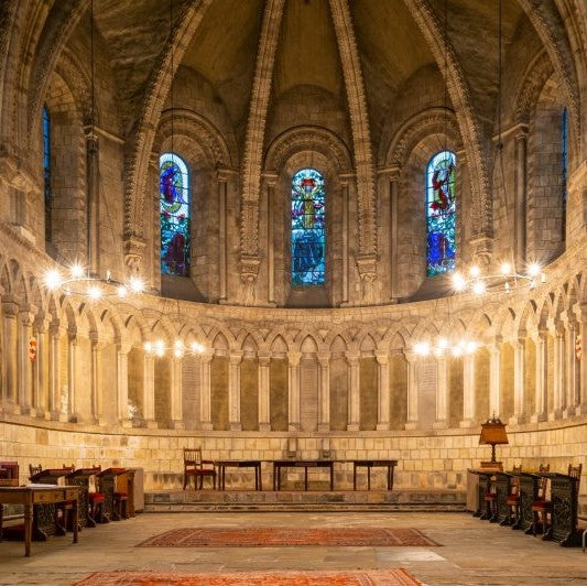 Tabara film 16-18 ani, Oxford University, Anglia - IVI Romania 10