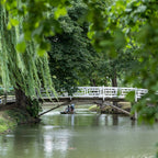 Tabara fizica 15-18 ani, Oxford, Anglia, IVI Romania 13