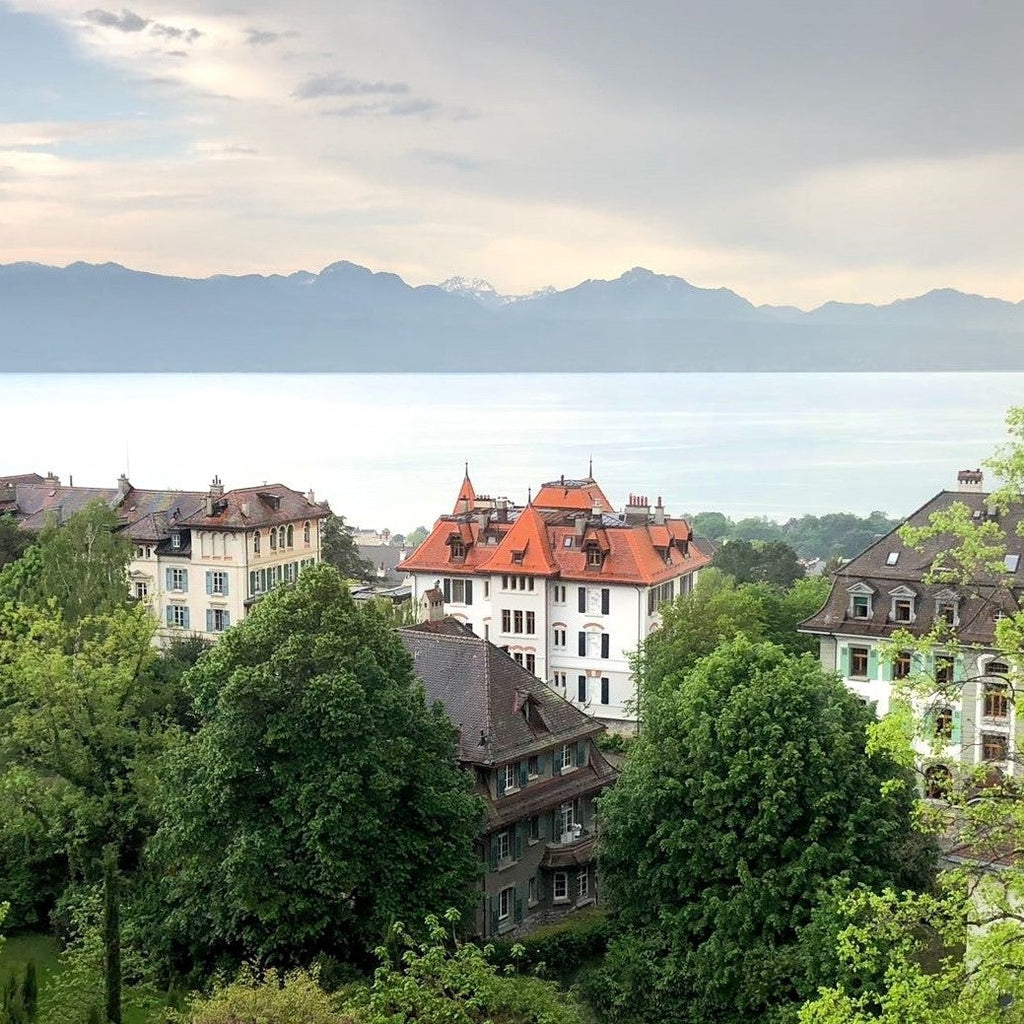 Tabara Franceza (10 - 16 ani) - Brillantmont School - Elvetia