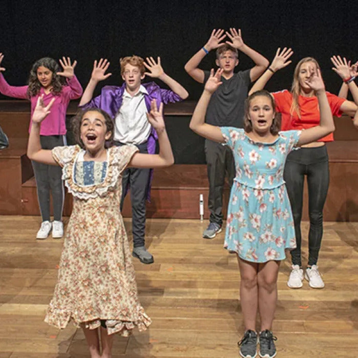 Tabara franceza 11-13 ani, TASIS, Elvetia - IVI Romania 14