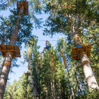 Tabara Franceza (12 - 17 ani) - Cannes - Franta