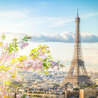 Tabara Franceza (13 - 17 ani) - Paris - Franta