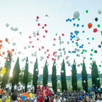 Tabara Franceza (8 - 15 ani) - Le Rosey - Elvetia