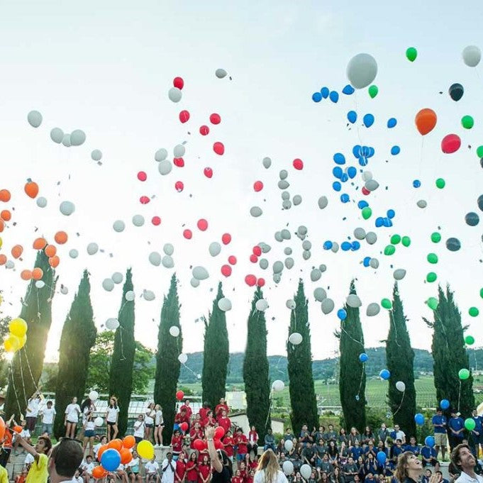 Tabara Franceza (8 - 15 ani) - Le Rosey - Elvetia