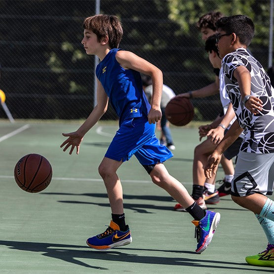 Tabara Franceza (8 - 15 ani) - Le Rosey - Elvetia