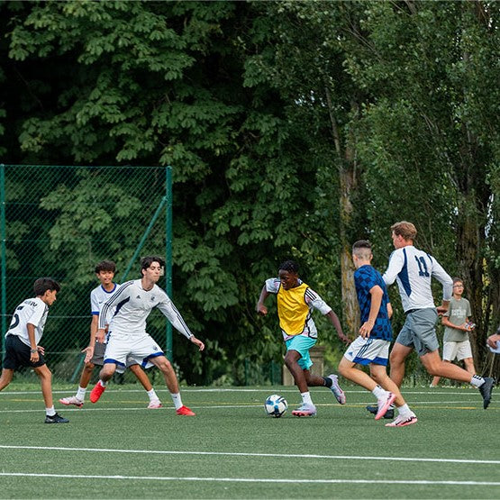 Tabara Franceza (8 - 15 ani) - Le Rosey - Elvetia