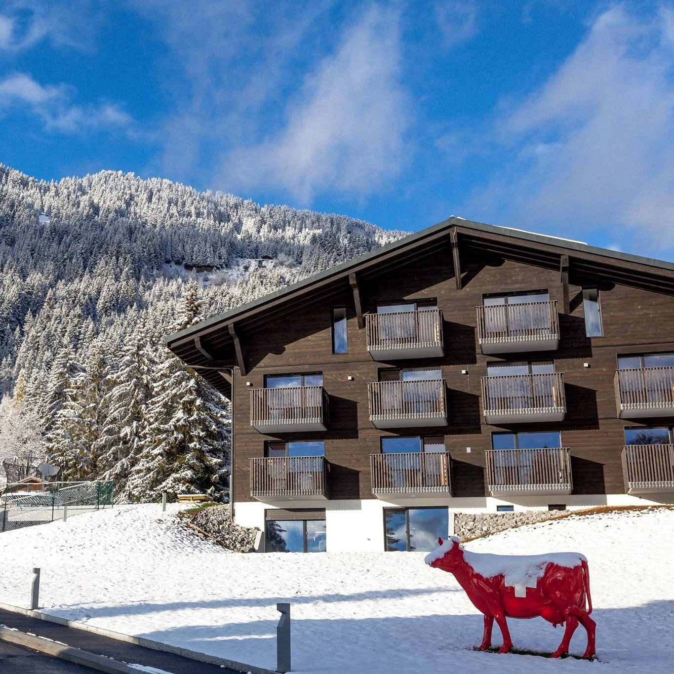 Tabara franceza si schi 6-14 ani, La Garenne, Elvetia, IVI Romania 15