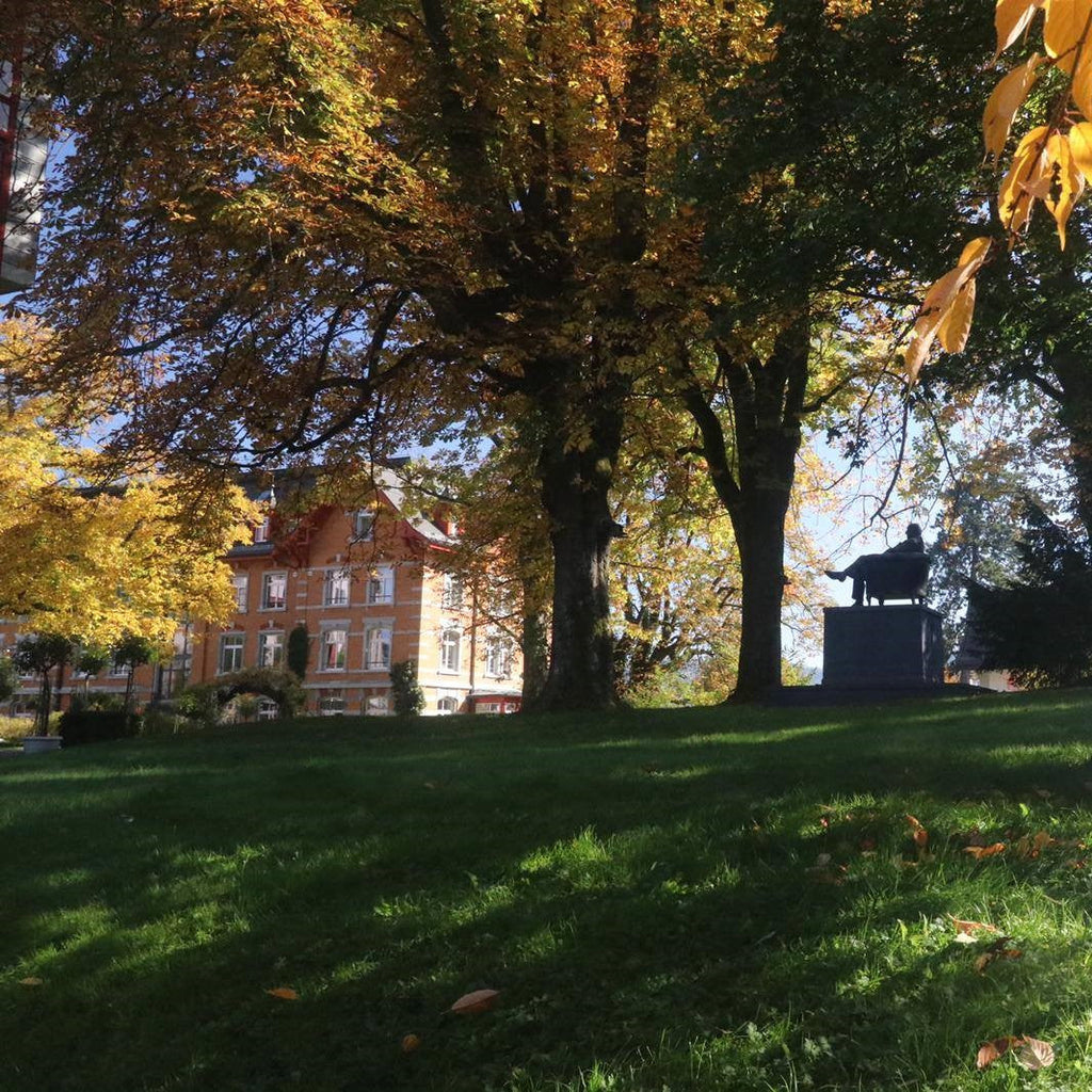 Tabara Germana (6 - 18 ani) - Rosenberg - Elvetia