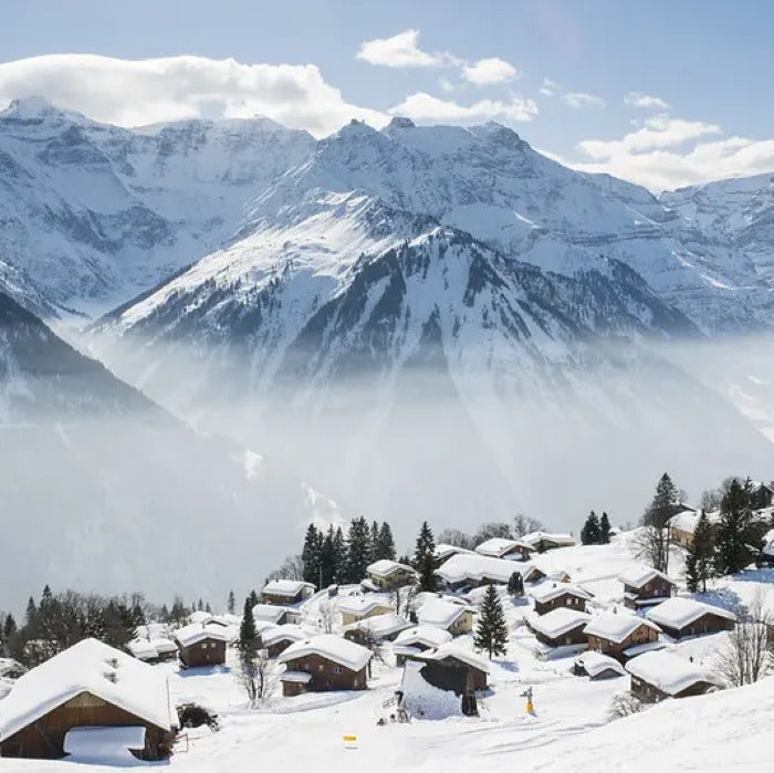Tabara Germana si Snowboard copii 8-17 ani in Elvetia, Braunwald 2