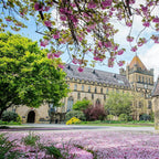 Tabara leadership 14-17 ani, Tonbridge School, Anglia - IVI Romania 1