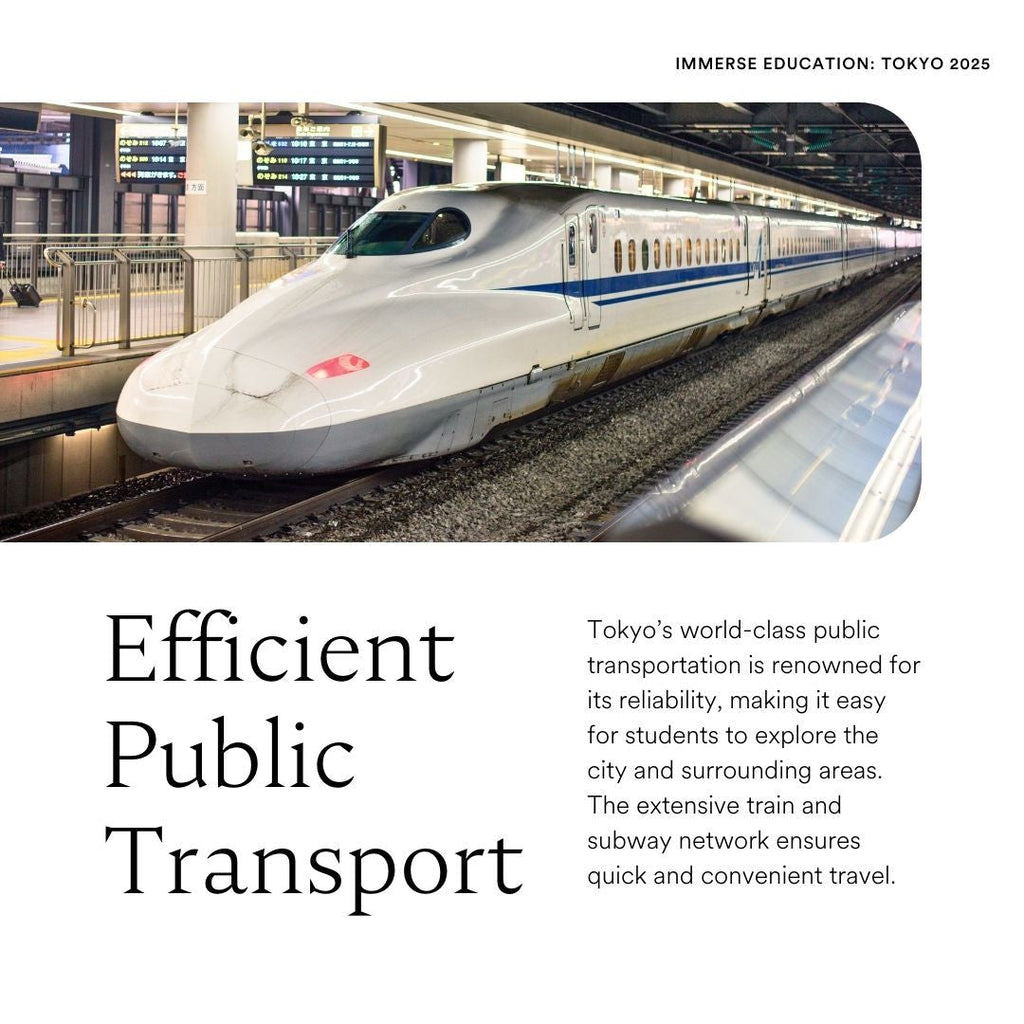 Tabara inginerie 15-18 ani, Tokyo, Japonia, IVI Romania 12