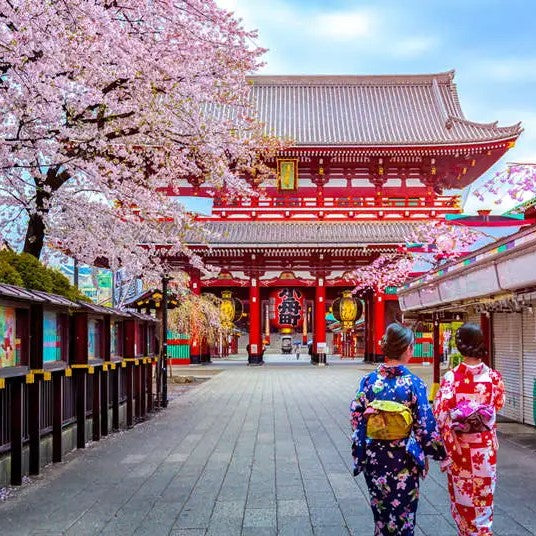 Tabara inginerie 15-18 ani, Tokyo, Japonia, IVI Romania 13