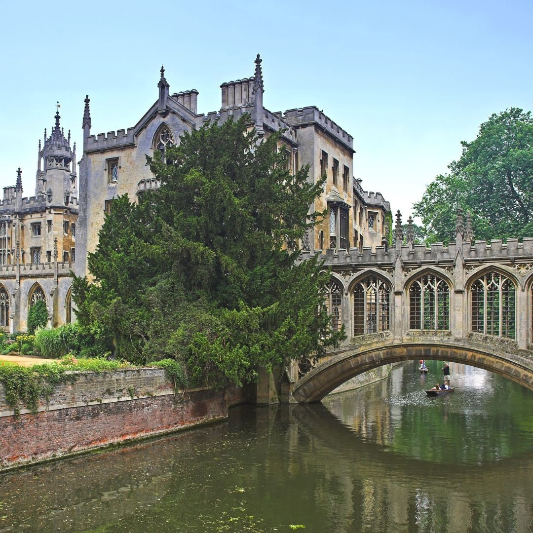 Tabara inginerie si tehnologie 16-18 ani, Cambridge University, Anglia - IVI Romania 7