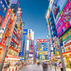 Tabara limba japoneza 15-18 ani, Tokyo, Japonia - IVI Romania 14