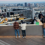 Tabara limba japoneza 15-18 ani, Tokyo, Japonia - IVI Romania 12