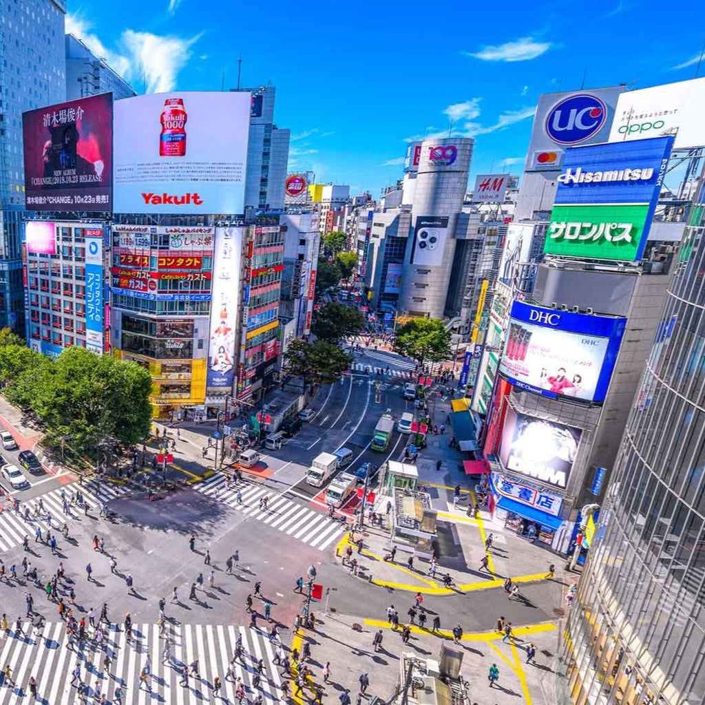 Tabara limba japoneza 15-18 ani, Tokyo, Japonia - IVI Romania 3