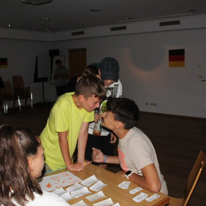 Tabara leadership 14-16 ani, Zell Am See, Austria, IVI Romania 5