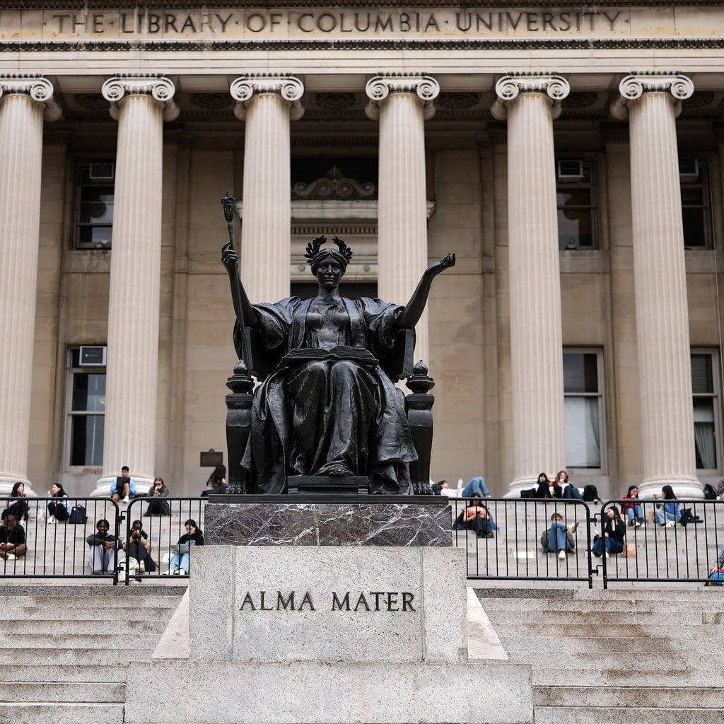 Tabara leadership si diplomatie 16-18 ani, Columbia University, SUA. IVI Romania 1