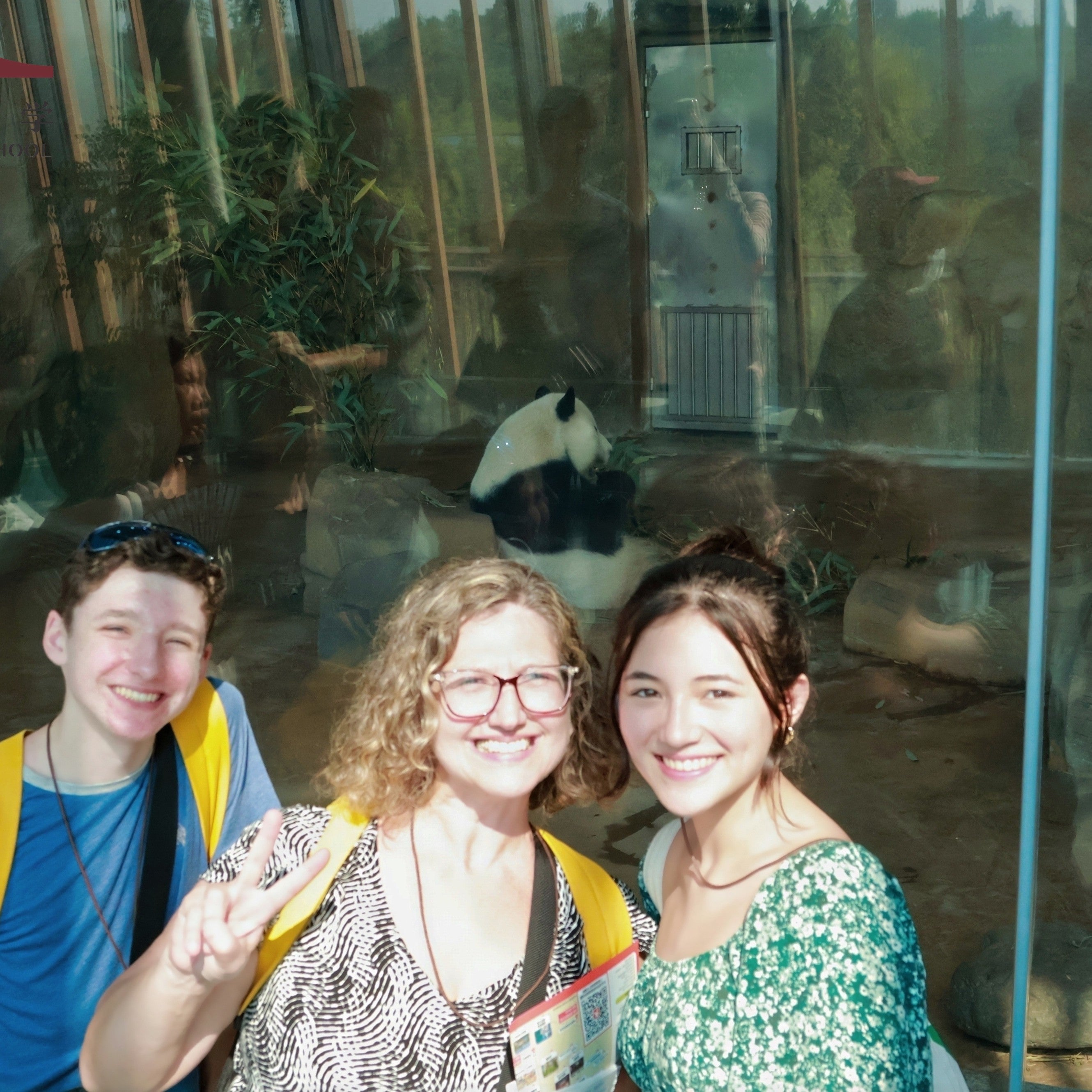 Tabara limba chineza  pentru elevi de 8 - 17 ani in Chengdu, China, IVI Education 13