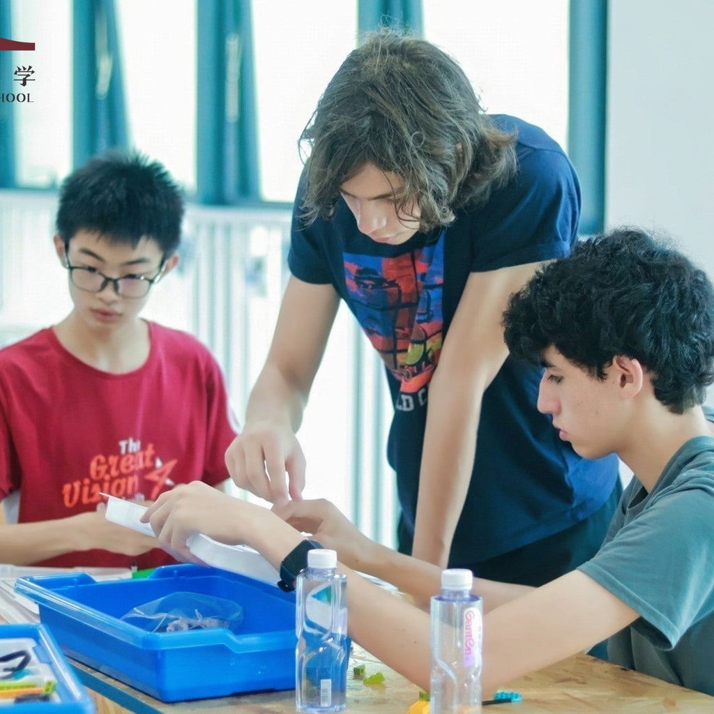 Tabara limba chineza  pentru elevi de 8 - 17 ani in Chengdu, China, IVI Education 9