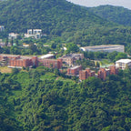 Tabara Chineza (8 - 17 ani) - Hong Kong - China