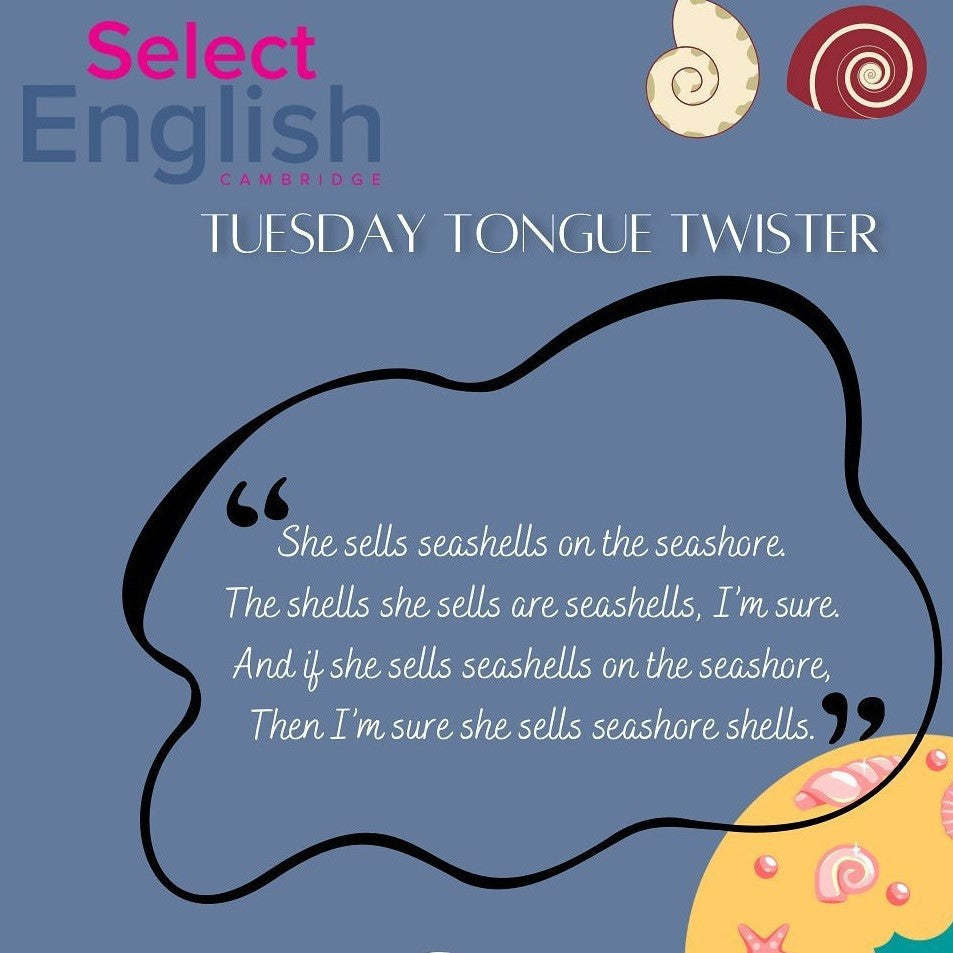 Tabara engleza copii 13-16 ani, Culford School, Anglia - IVI Romania 17