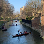 Tabara engleza si stiinte pentru elevi de 14-17 ani la Cambridge, Anglia - IVI Romania 10