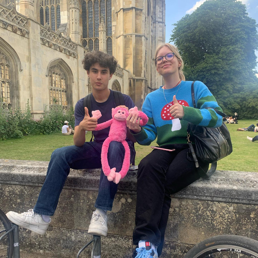 Tabara Engleza (16 - 25 ani) - Cambridge - Anglia