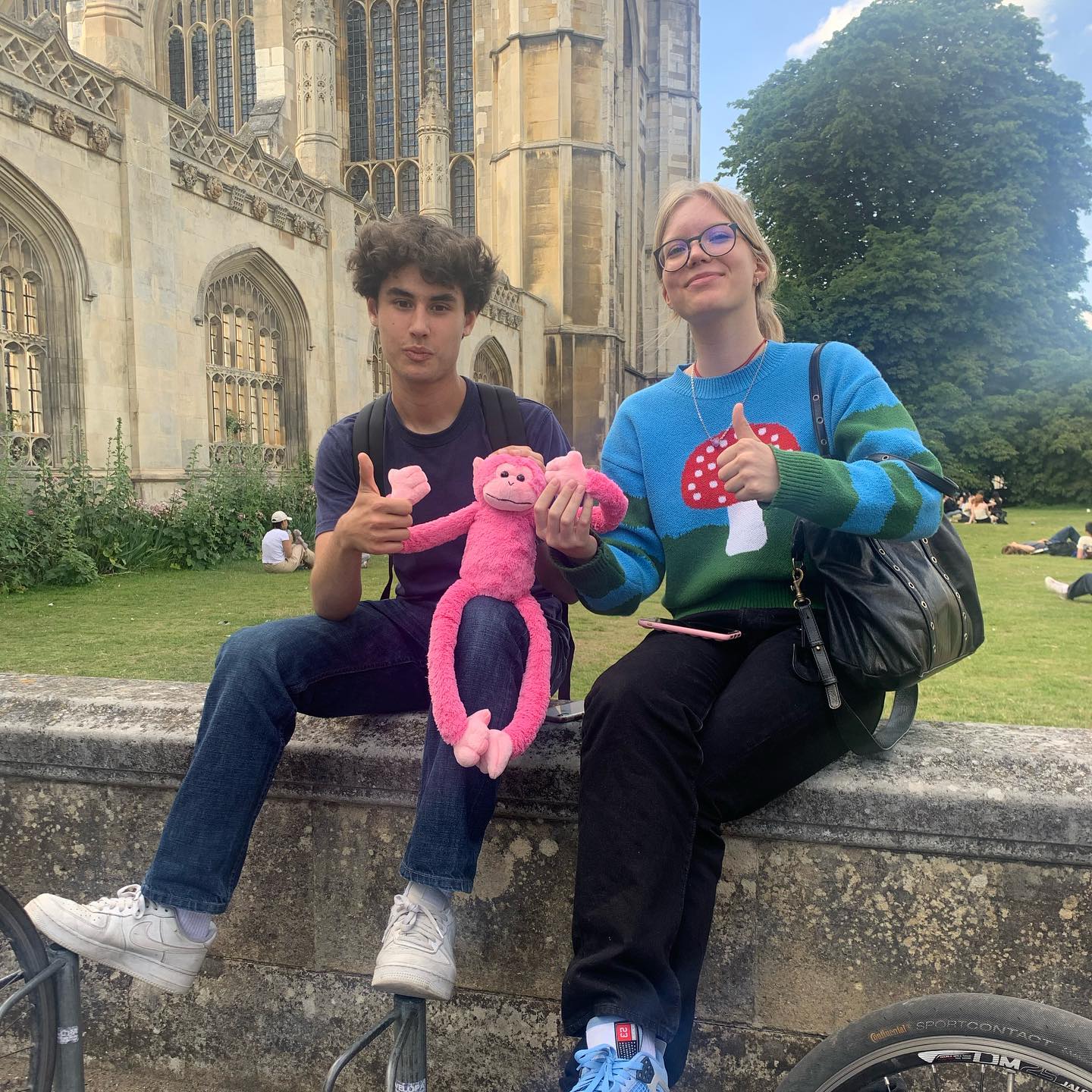 Tabara Engleza (16 - 25 ani) - Cambridge - Anglia