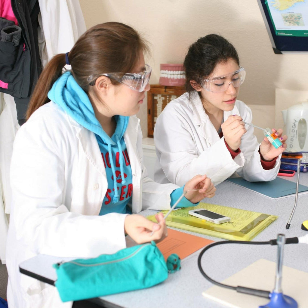 Tabara engleza si stiinte pentru elevi de 14-17 ani la Cambridge, Anglia - IVI Romania 4