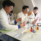 Tabara engleza si stiinte pentru elevi de 14-17 ani la Cambridge, Anglia - IVI Romania 5