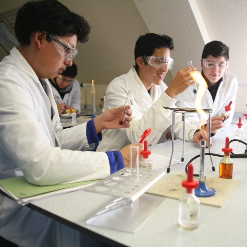 Tabara engleza si stiinte pentru elevi de 14-17 ani la Cambridge, Anglia - IVI Romania 5