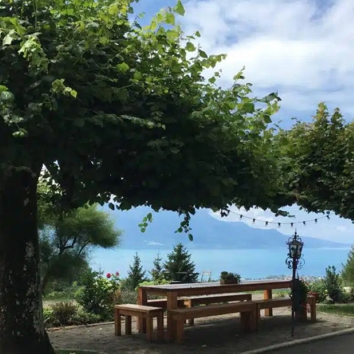 Tabara Matematica si Fizica (12 - 16 ani) - Ecole Chantemerle - Elvetia